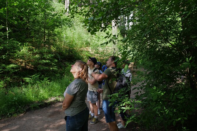 3 in 1 Tour Brewery & Castle in Bohemian Paradise Unesco Geopark - Pickup and drive: Czech history facts without the lecture vibe