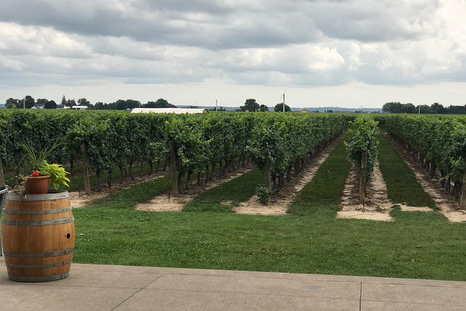 Afternoon Wine, Beer and Charcuterie Tour in Niagara-on-the-Lake - A Six-Person Afternoon of Brewery and Winery Tastings