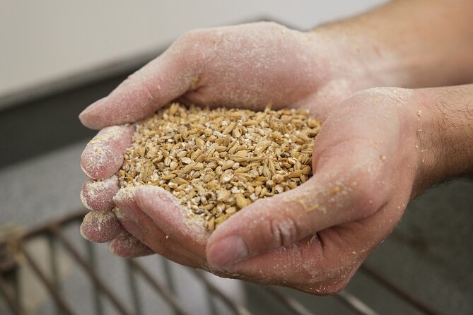 Agricultural Brewery Tour in the Roman Countryside - Inside the brewery: from cooking to bottling