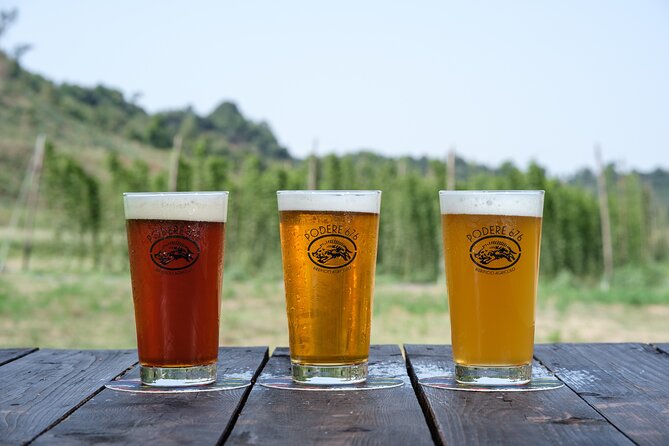 Agricultural Brewery Tour in the Roman Countryside - Price and what you’re really paying for ($57.32)