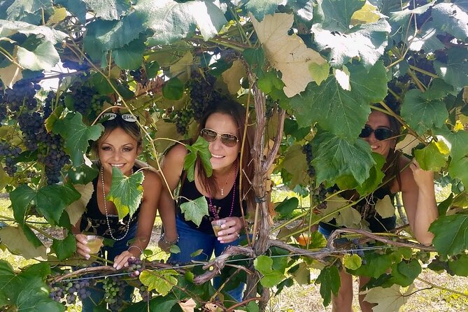 All Inclusive VIP Wine or Beer Tour in Hudson Valley - What to pack (and what to skip) for comfort and sanity