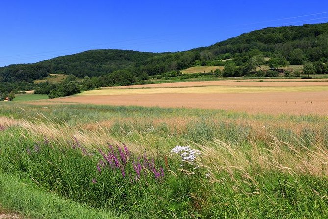 Bamberg Countryside Breweries Beer Hike Food Experience - Why Bamberg’s beer hike feels more local than another tasting flight