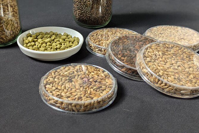 Beer tasting in a Brussels Micro Brewery and Distillery - Should You Book This Beer Tasting and Distillery Tour?