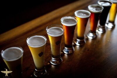 Brewery Bus Tour from Mexico - Meeting point and timing: plan your evening around the schedule