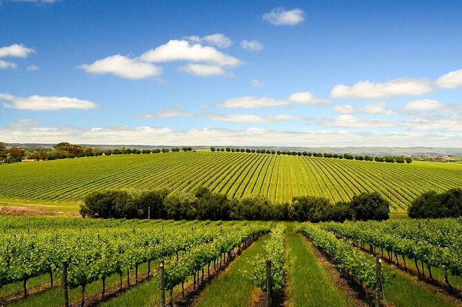 Build your own Unique Private Winery/Brewery Tour at the Margaret River region - Key Points To Know Before You Go
