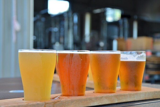 Cairns Brewery Tours - Stop 2: Macalister Brewing Company and Brewer Conversation Plus Tasting Paddle