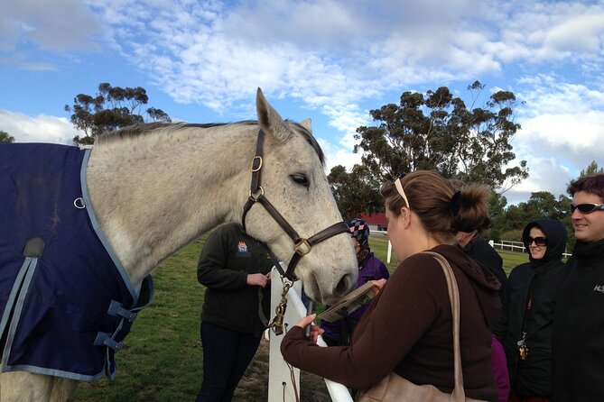 Champion Racehorse Tour with Beer and Wine Tasting - Holgate Brewery in Woodend: microbrews, bistro lunch, and a town break