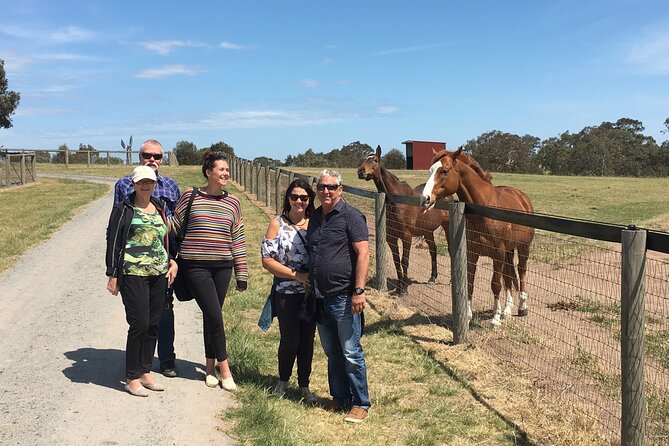 Champion Racehorse Tour with Beer and Wine Tasting - Who should book this Champion Racehorse Tour (and who might not)