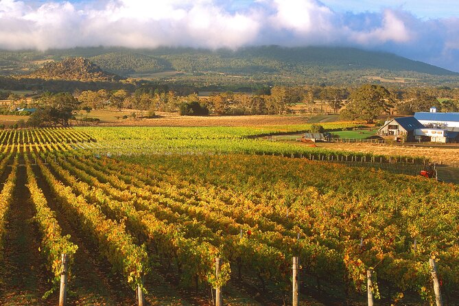 Champion Racehorse Tour with Beer and Wine Tasting - Timing, comfort, and group size on an 8-hour minivan day