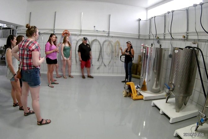 Costa Rica Central Valley Wine, Beer, and Mead Tour and Tasting - One practical thing to consider