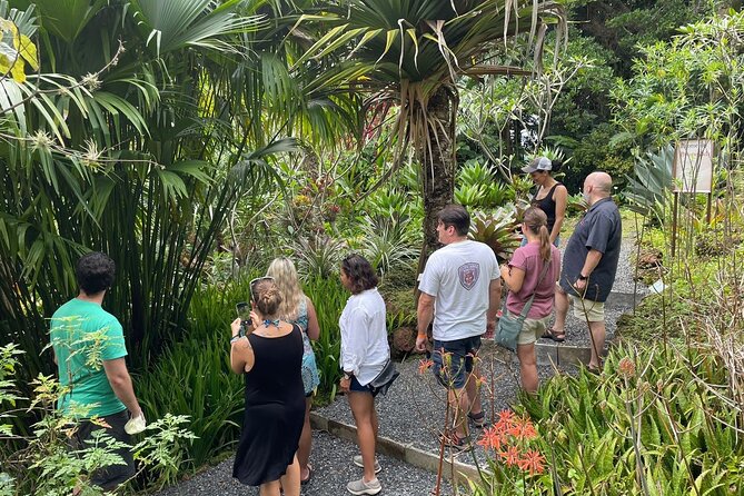 Costa Rica Central Valley Wine, Beer, and Mead Tour and Tasting - Key highlights worth planning for