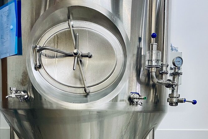 Craft Beer and Brewery Tour in Iceland - Who should book this beer tour (and who should skip it)
