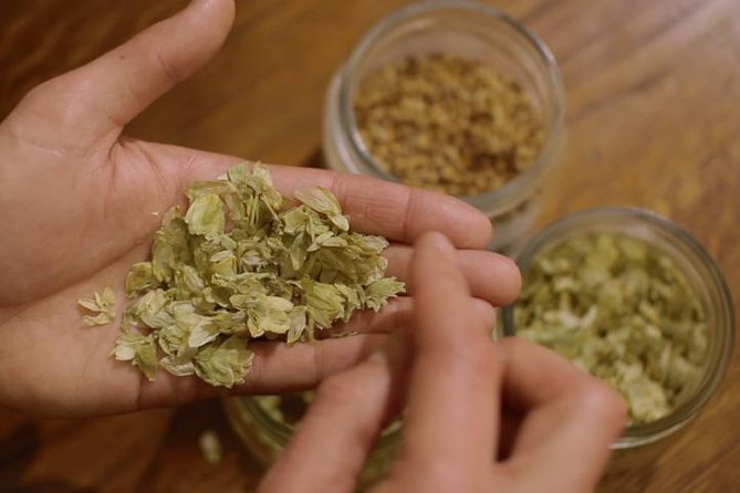 Czech Beer Tasting Experience - Finding Týnská 639/4: A Meeting Point That Can Be Tricky