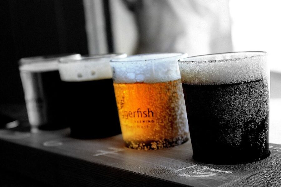 DAILY Beer Tasting Private Guided Tour at Best Warsaw Pubs - Key highlights you’ll feel on the tour