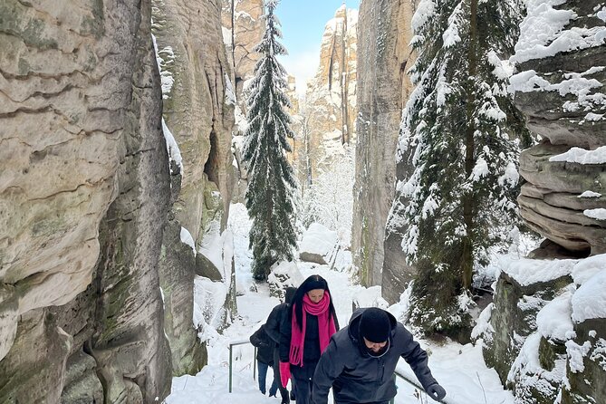 Discover Bohemian Paradise: Authentic Easy Hike, Castle & Brewery - Lomnické Pivo craft brewery: beer tasting with the real workflow