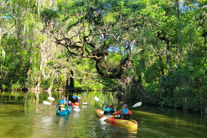 Dora Canal Wildlife Kayak Tour – Scenic Old Florida - Lake Dora Start: Getting Comfortable Before the Cypress Tunnel
