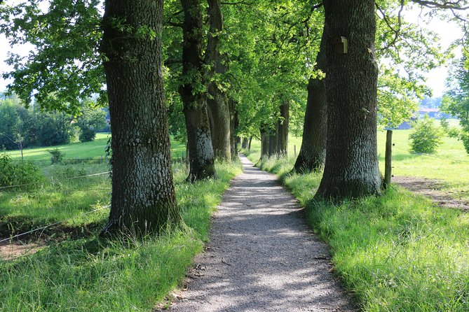 Dragon Slayer Way Beer Hike Food Experience Private Tour (departs Munich) - Why the Dragon Slayer Way hike from Munich feels like a real Bavarian day