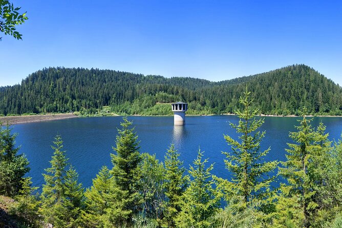 from Frankfurt - romantic Black Forest & brewery, private tour - Zauberland an der Kinzig: the family swap if kids are under 12