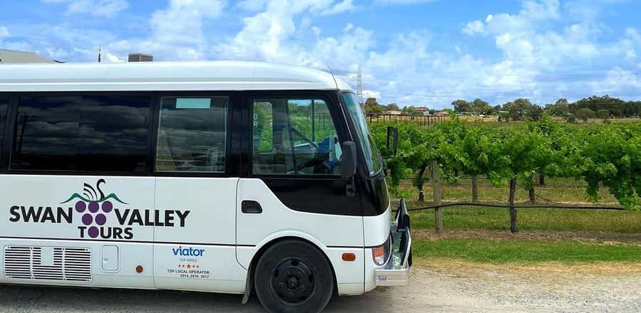 From Perth: Swan Valley Winery & Brewery Day Tour With Lunch - Small group up to 10 people: why it feels more personal