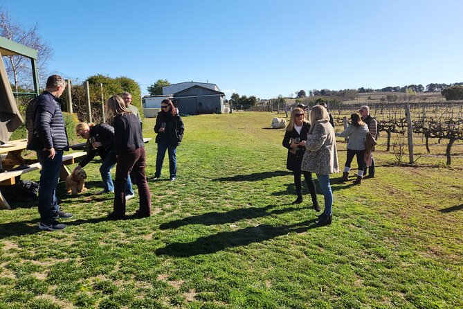 Full-Day Canberra Brewery, Wineries & Distillery tour /w lunch - Four Winds Vineyard: pizza lunch plus paired wine tasting