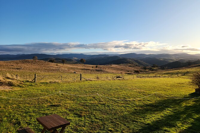 Full-Day Canberra Brewery, Wineries & Distillery tour /w lunch - Ambrosia Distillery: around 5 gins and vodka