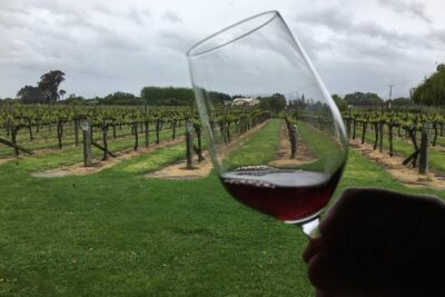 Half-Day Marlborough Wine Tour & Beer Tour - Pickup in Blenheim and Renwick: The Convenience Trade-Off