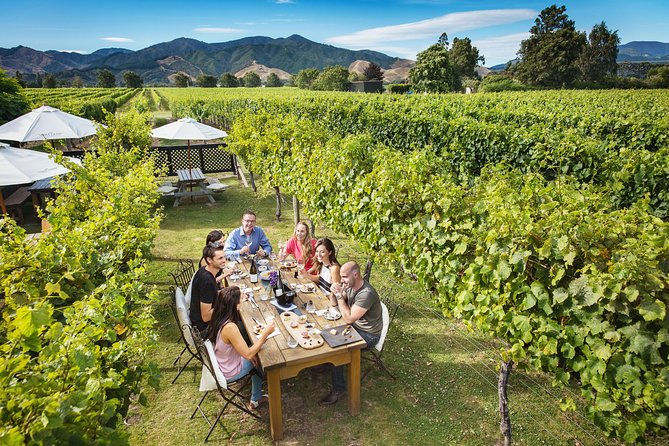 Half-Day Marlborough Wine Tour & Beer Tour - Optional Brewery and Chocolate Stops: Nice Flex, No Guarantees
