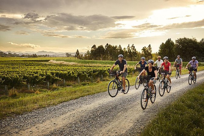 Half-Day Marlborough Wine Tour & Beer Tour - Who This Tour Is Best For (and Who Might Want Another Plan)