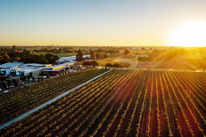 Half-Day Swan Valley Winery & Brewery - How the pacing and group size affect your day
