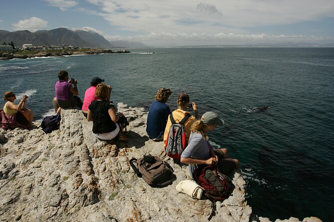 Hermanus Land based Whale Tour with Dave de Beer - Whale House Museum: your head start on southern right whales
