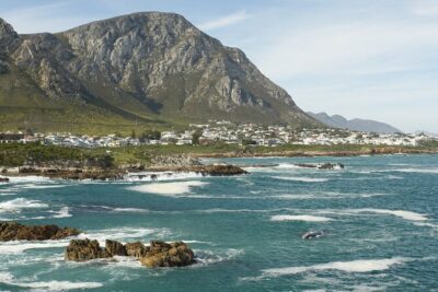 Hermanus Land based Whale Tour with Dave de Beer - The Hermanus Cliff Path walk: spotting with Dave’s local sight lines