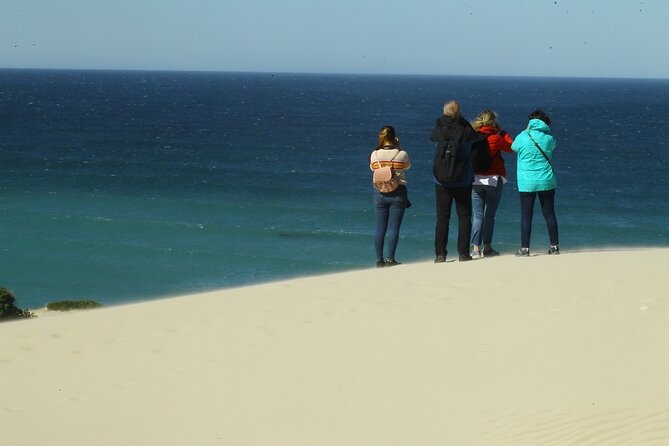 Hermanus Land based Whale Tour with Dave de Beer - How to set yourself up for whale success in Hermanus