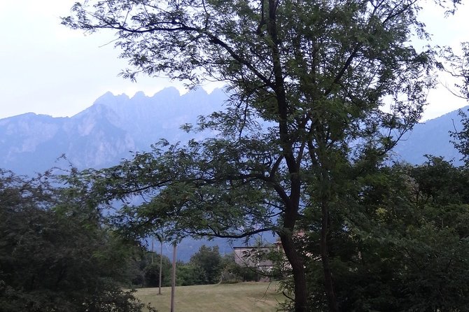 Hike & Beer: beer tasting & breathtaking views at sunset - The Herba Monstrum brewery stop: pick your beer like a local