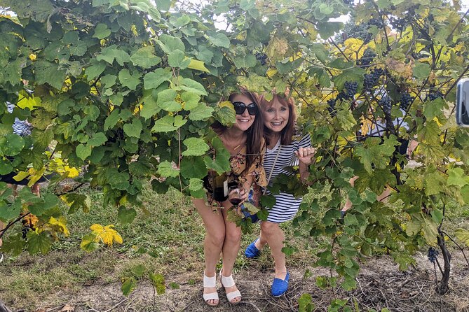 Kansas City Brewery, Winery, and Distillery Tour - The guide factor: history talks that make tastings click