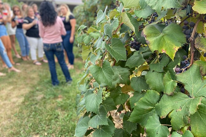 Kansas City Brewery, Winery, and Distillery Tour - For whom this tour is ideal (and who may want to skip it)