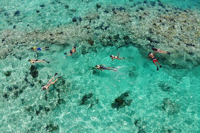 Key West 2 Reef Snorkel Tour & Sunset Cruise with Beer & Wine - Stop 1, Stop 2, and the reef reality: what you’re doing underwater