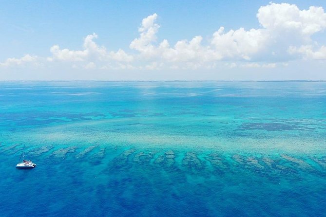 Key West 2 Reef Snorkel Tour & Sunset Cruise with Beer & Wine - Snorkeling gear and instruction: what makes it easier for beginners