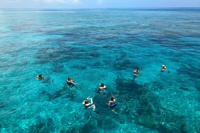 Key West 2 Reef Snorkel Tour & Sunset Cruise with Beer & Wine - Drinks on the way back: what’s included and how to handle it