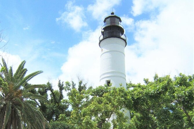 Key West: Dolphin Watching cruise & Snorkeling unlimited beer & soda - Key West Dolphin Watching and Snorkeling: What Makes It Worth Your Time