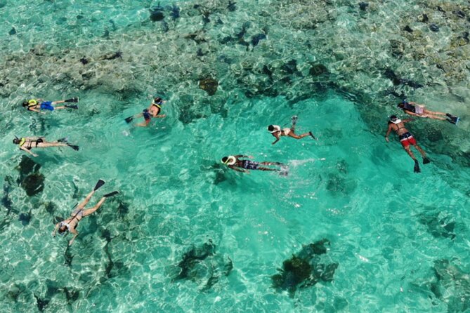 Key West: Dolphin Watching cruise & Snorkeling unlimited beer & soda - Value and Budget: Is $89.99 a Good Deal?