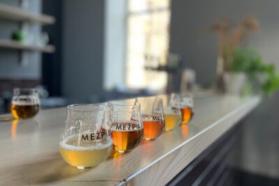 Latvian Brewery Visit and Beer Tasting - Historic origins meet the working brewery