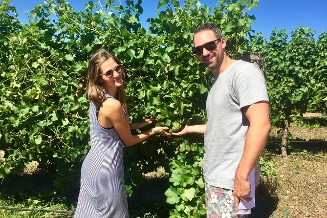 Margaret River Beer & Wine Adventure (departs Dunsborough/Busselton) - Who this tour suits best
