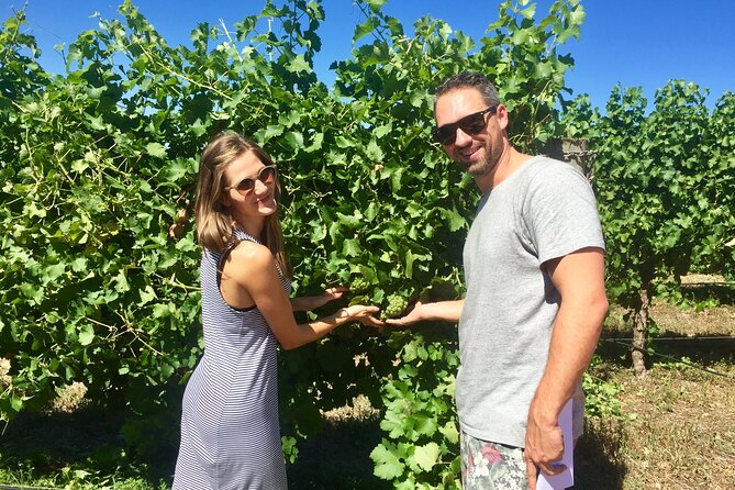 Margaret River Beer & Wine Adventure (departs Margaret River) - Price and what you actually get for $132.69