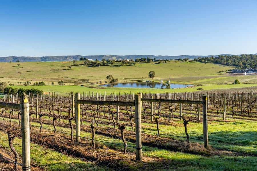 Melbourne: Yarra Valley Wine, Cider, Gin, Beer, & Choc Tour - The big idea: why this tour feels fun, not formal