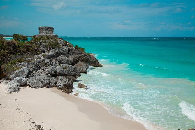 Mexican Beer & Seafood Madness in Playa del Carmen - Key highlights you’ll feel right away