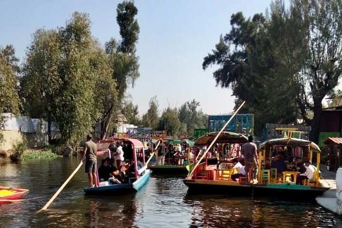 Mixology, Food, Wine and Beer Experience in Xochimilco - Who This Tour Fits Best: Drinks, Music, and Small-Group Fun