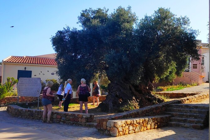 Monastery - Ancient Olive tree & Museum-Cretan Brewery Private Tour from Chania - Should You Book This Monastery, Olive Tree, and Brewery Tour?