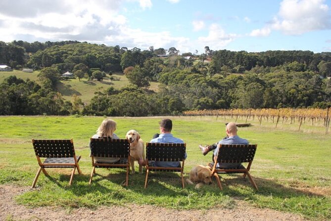 Mornington Peninsula Winery, Beer and Spirits Tour - Who this tour suits (and who might want a different style)