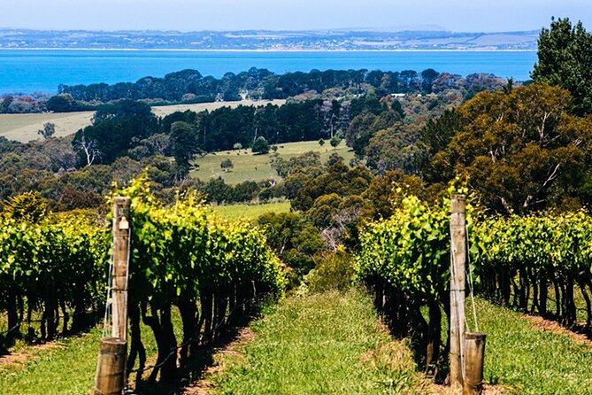Mornington Peninsula Winery, Beer and Spirits Tour - Practical tips so the day stays fun