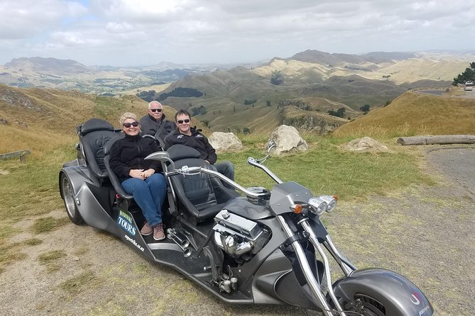 Napier Shore Excursion: Wine & Art Deco Tour - What four hours actually feels like on the ground